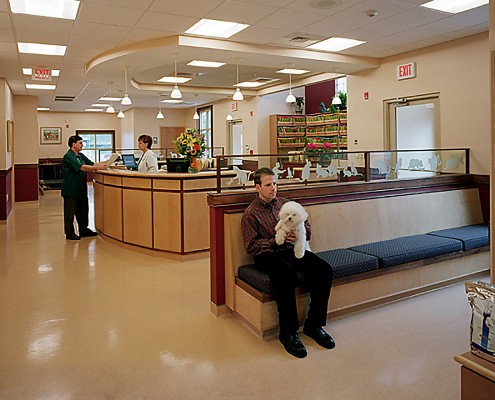 Vet Hospital E. Providence, RI